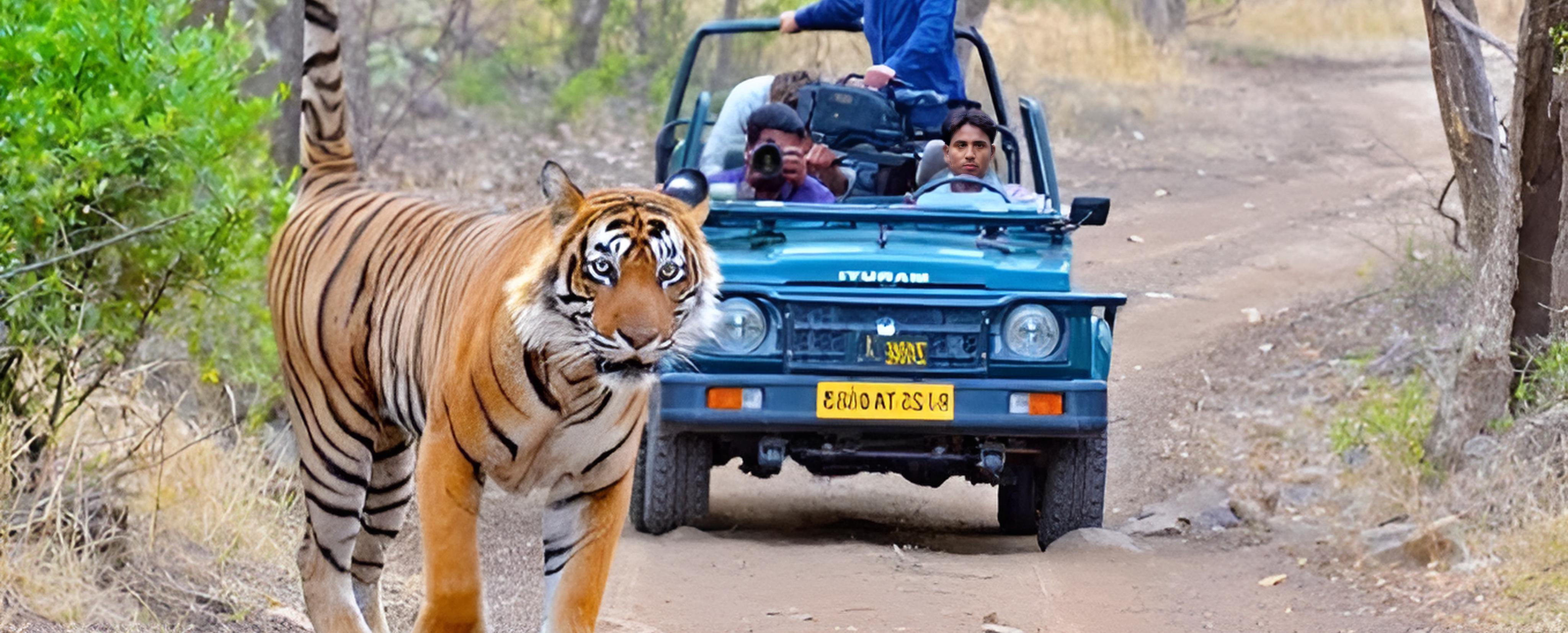 north india tour packages from delhi