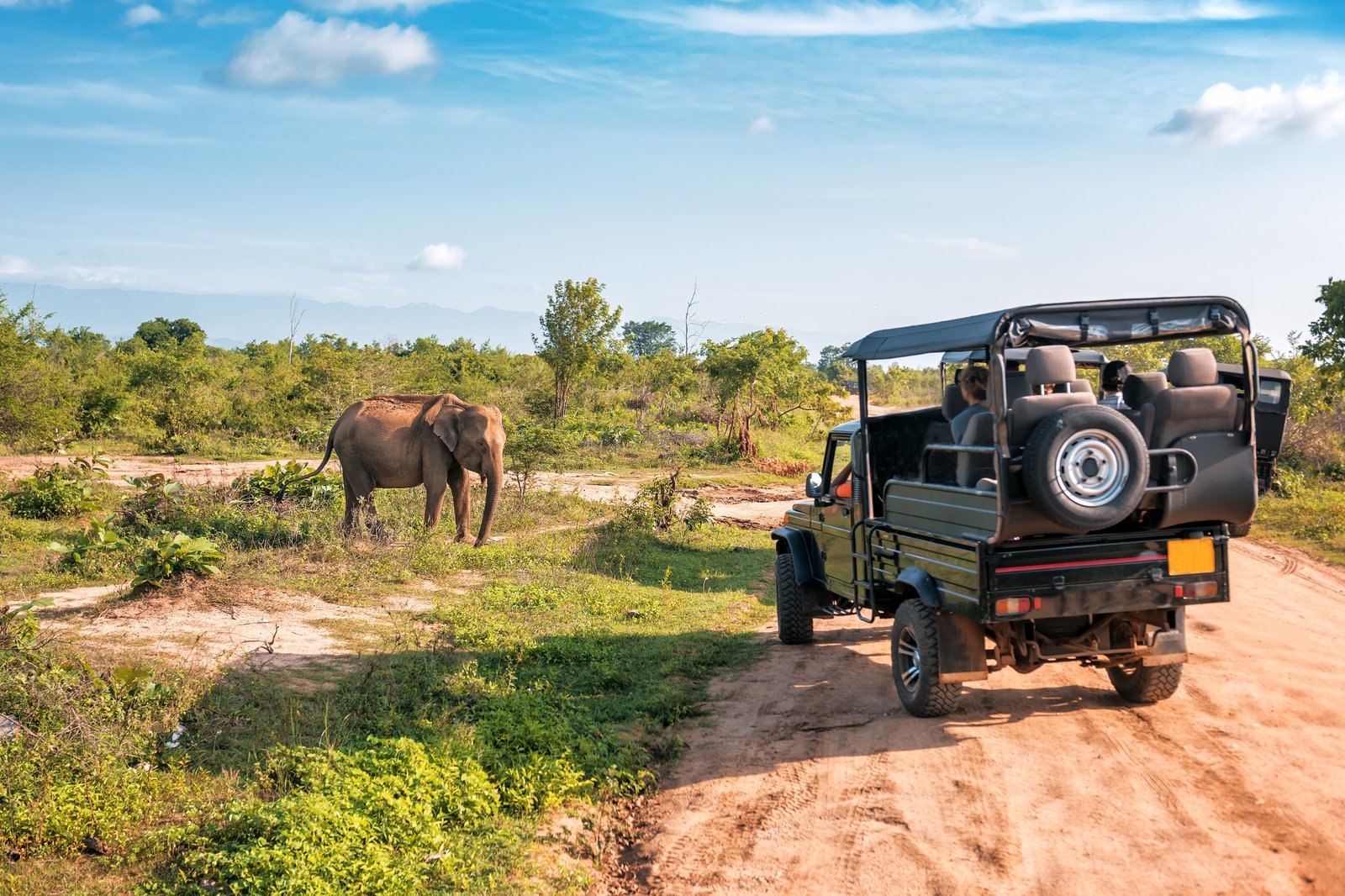 ⁠Chambal Safari tour from Agra